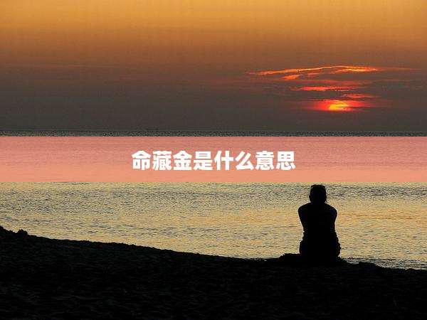 命藏金是什么意思