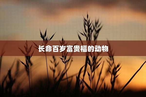 长命百岁富贵福的动物