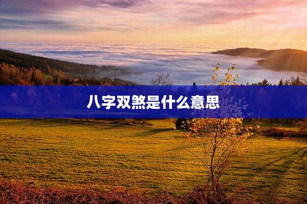 八字双煞是什么意思