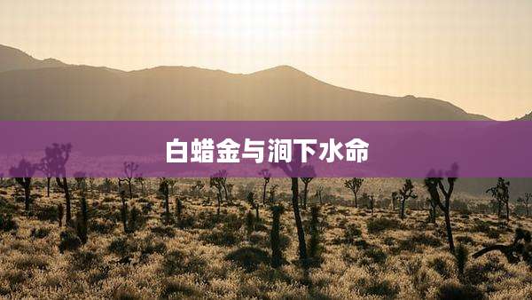 白蜡金与涧下水命