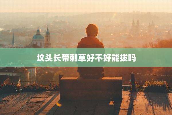 坟头长带刺草好不好能拨吗