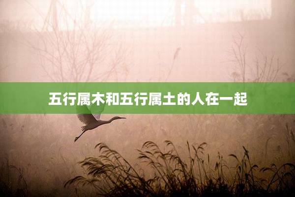 五行属木和五行属土的人在一起