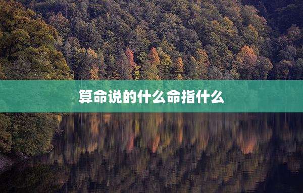 算命说的什么命指什么