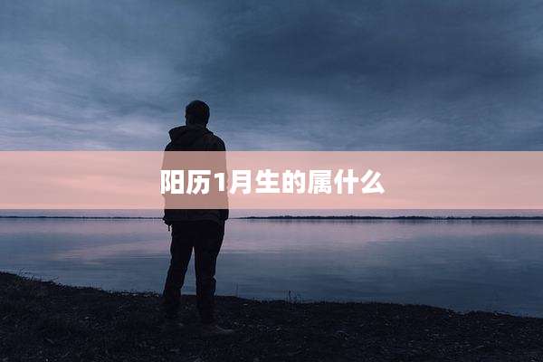 阳历1月生的属什么