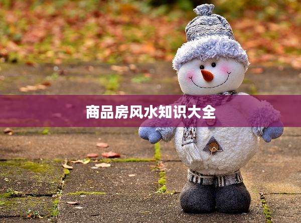 商品房风水知识大全