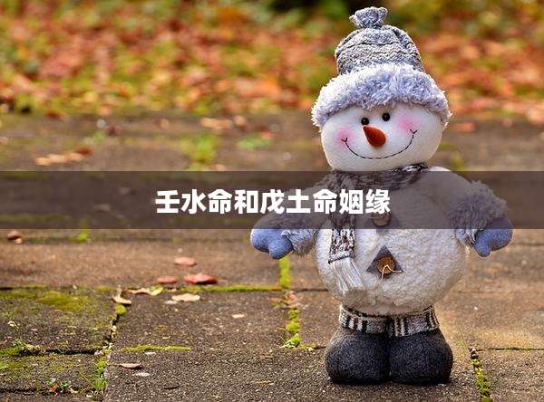 壬水命和戊土命姻缘