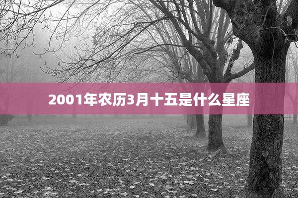 2001年农历3月十五是什么星座
