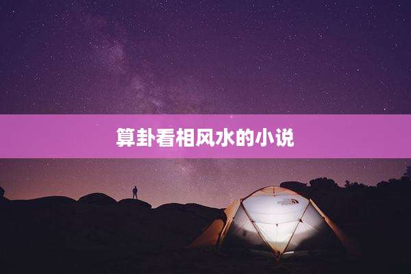 算卦看相风水的小说