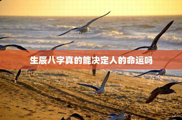 生辰八字真的能决定人的命运吗
