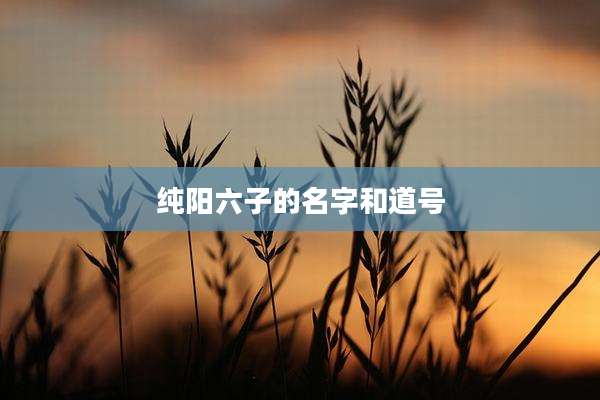 纯阳六子的名字和道号