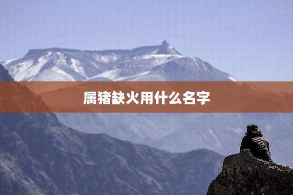 属猪缺火用什么名字