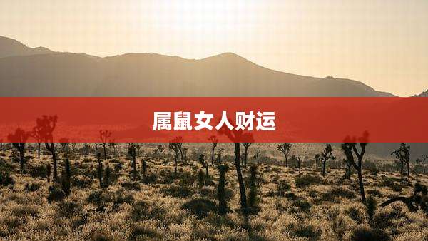 属鼠女人财运