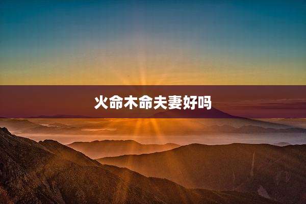 火命木命夫妻好吗