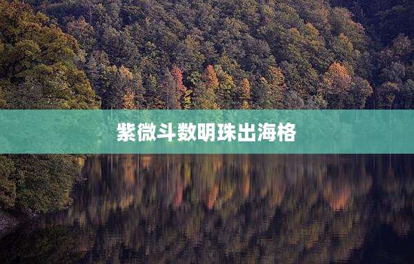 紫微斗数明珠出海格