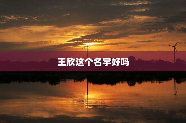 王欣这个名字好吗
