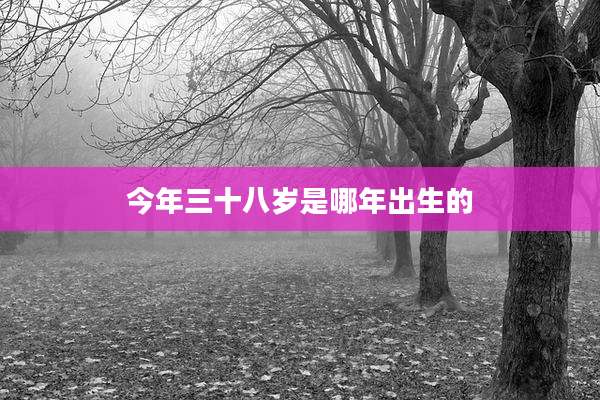 今年三十八岁是哪年出生的