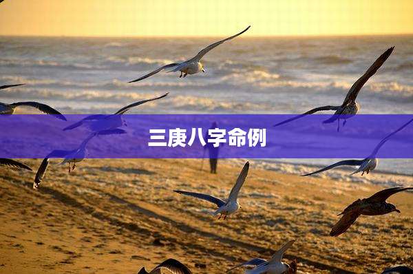 三庚八字命例