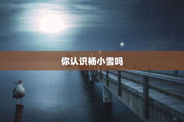 你认识杨小雪吗