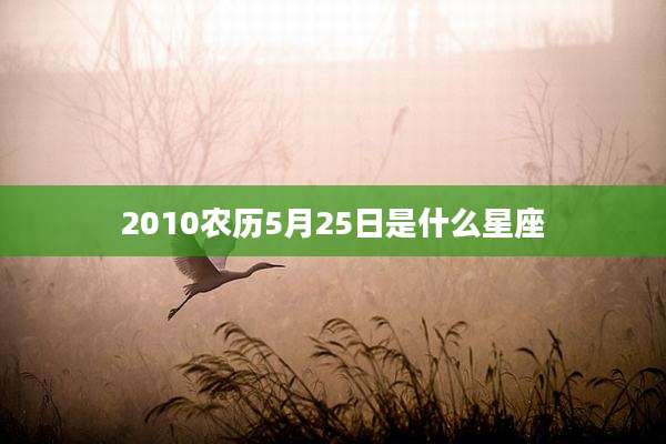 2010农历5月25日是什么星座