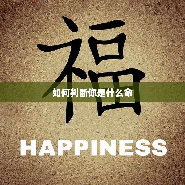 如何判断你是什么命