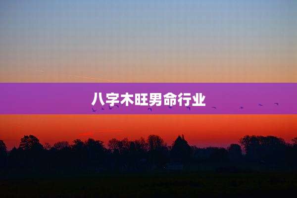 八字木旺男命行业
