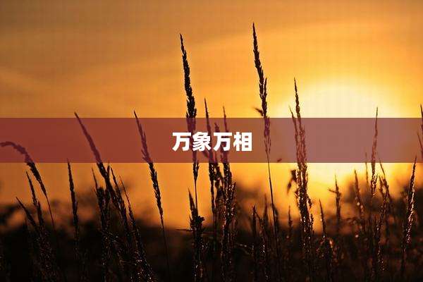 万象万相