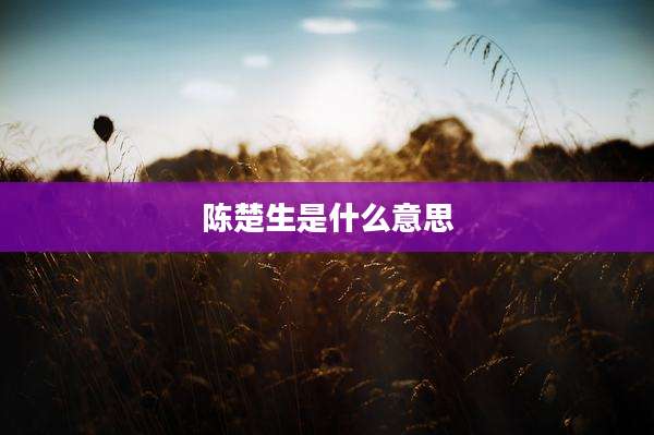 陈楚生是什么意思