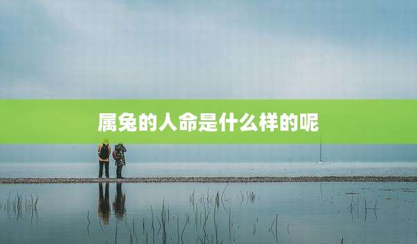 属兔的人命是什么样的呢