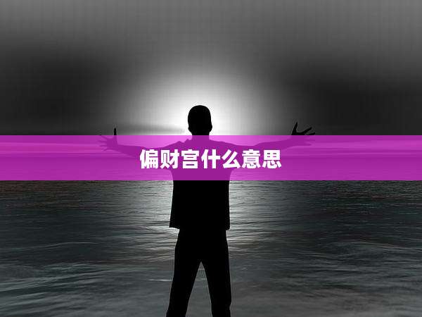 偏财宫什么意思