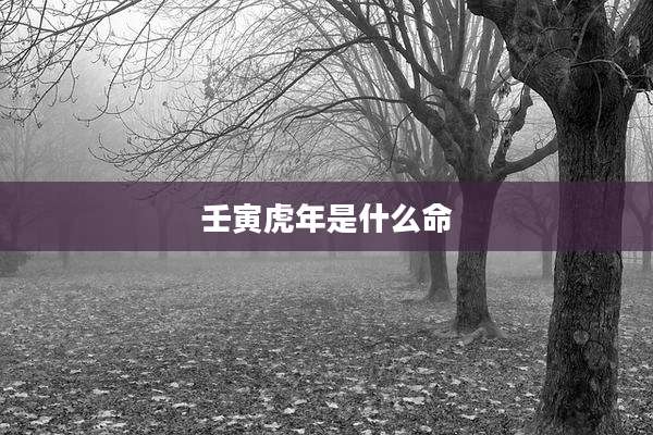 壬寅虎年是什么命