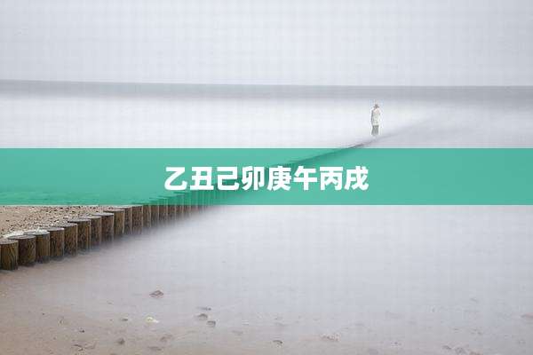 乙丑己卯庚午丙戌