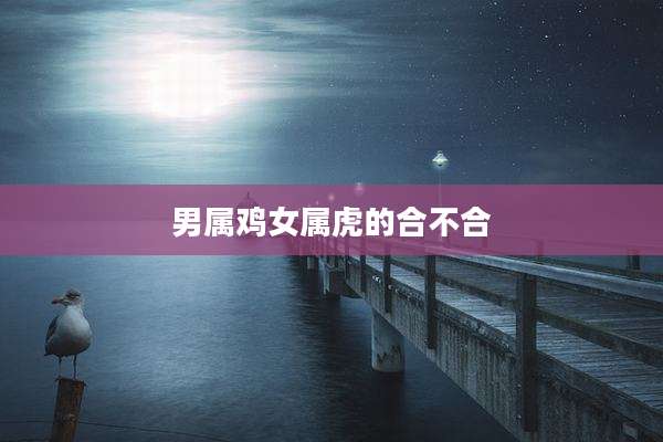 男属鸡女属虎的合不合