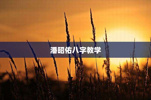 潘昭佑八字教学