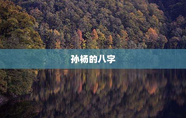 孙杨的八字
