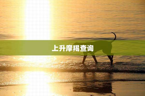 上升摩羯查询