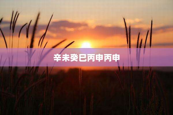 辛未癸巳丙申丙申