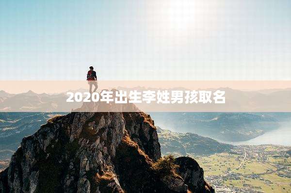 2020年出生李姓男孩取名
