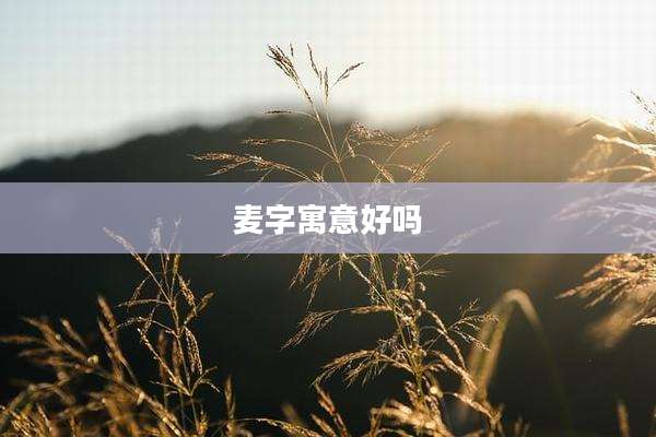 麦字寓意好吗