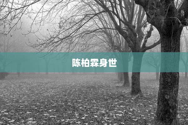 陈柏霖身世