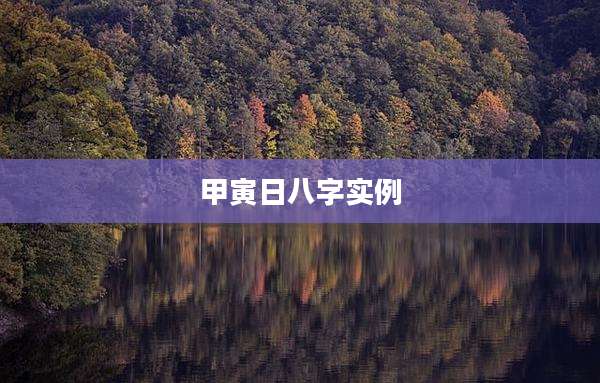 甲寅日八字实例