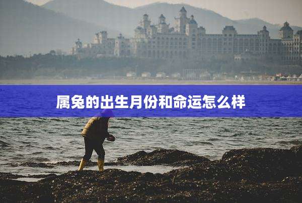 属兔的出生月份和命运怎么样