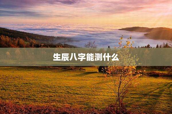 生辰八字能测什么