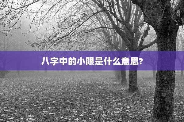 八字中的小限是什么意思?