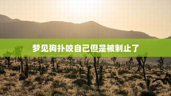 梦见狗扑咬自己但是被制止了