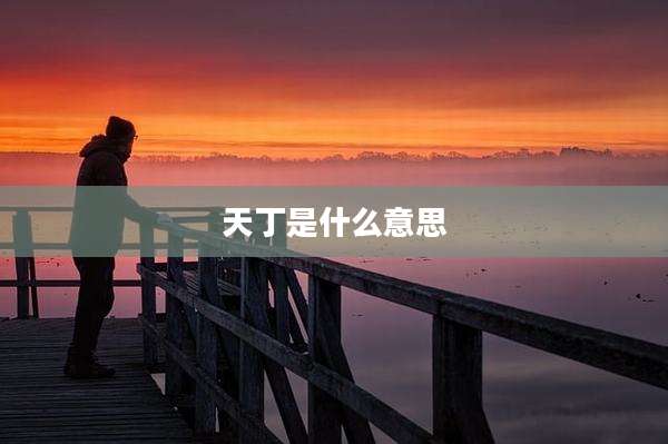 天丁是什么意思