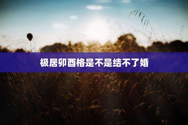 极居卯酉格是不是结不了婚