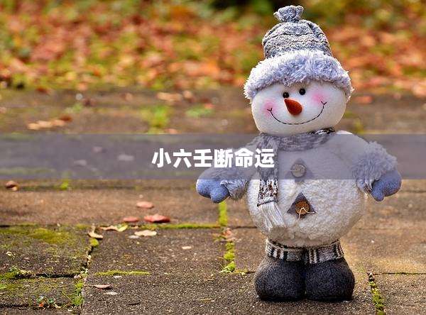 小六壬断命运