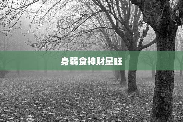 身弱食神财星旺