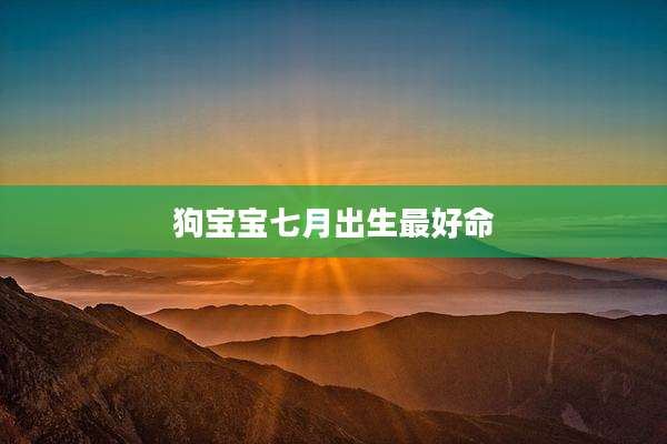 狗宝宝七月出生最好命