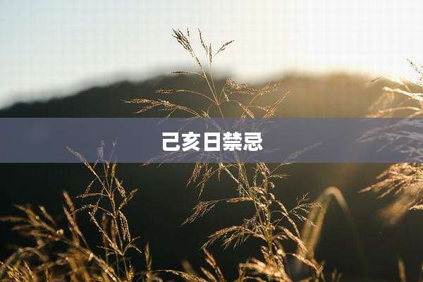 己亥日禁忌